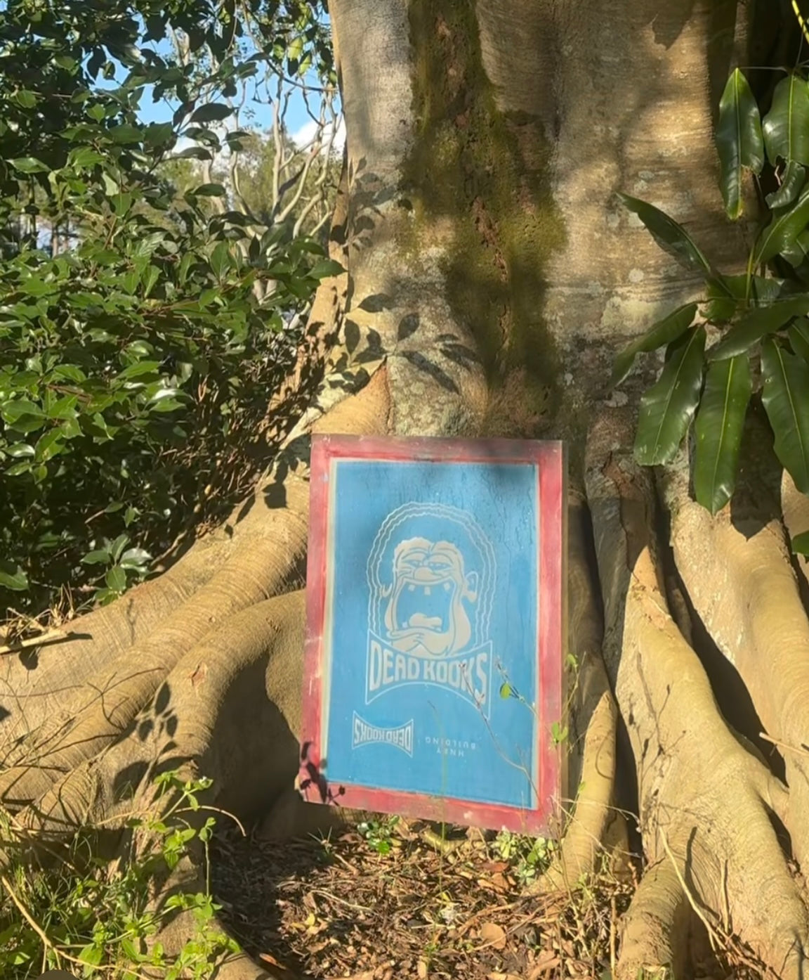 Bow-Tie Heavyweight Hood - Black Pink